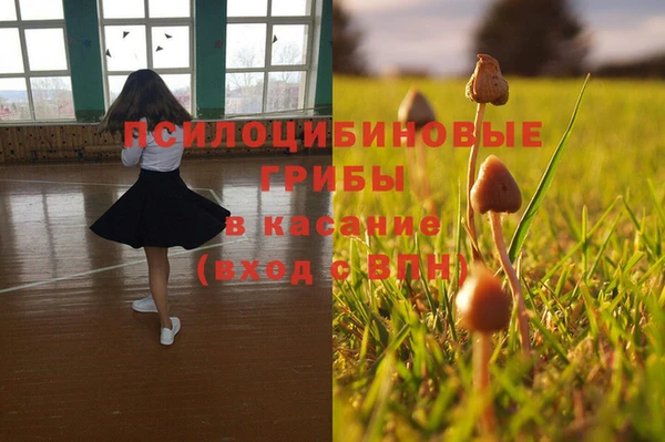 MDMA Алексин