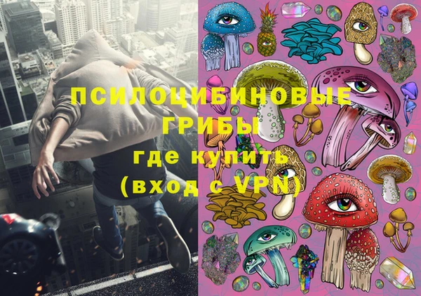 винт Алзамай