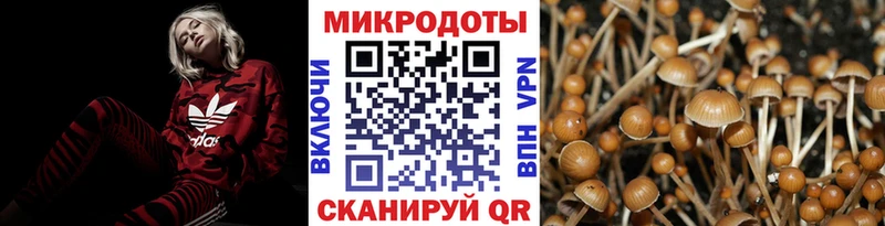 Псилоцибиновые грибы Psilocybe  Нижняя Салда 
